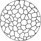 Korngrößennummer 5