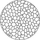 Korngrößennummer 6