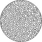 Korngrößennummer 8