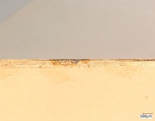 Plattierter Stecker (200x)