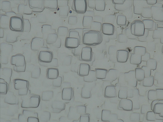 Ohne optischen Schatteneffekt-Modus (1500x)