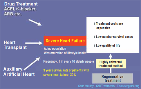 Bild: Behandlungsstrategien gegen schwere Herzinsuffizienz...