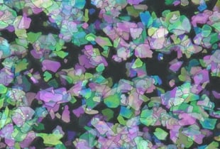 Betrachtung und Messung von Pigmenten mit einem Digitalmikroskop