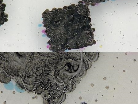 Betrachtung der Oberflächenbeschaffenheit der Tinte