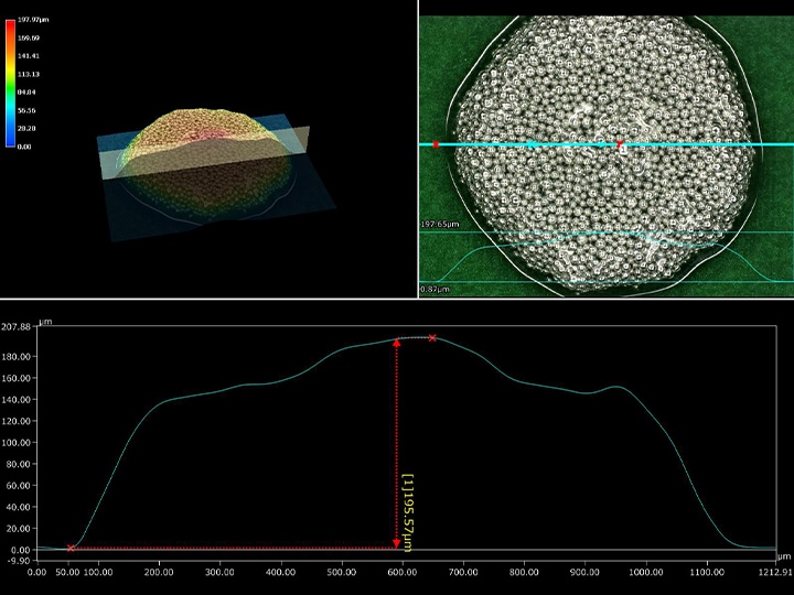 Ringbeleuchtung (300x) + 3D-Messung und Profilmessung im oberen und unteren Beispiel