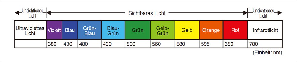 [ Unsichtbares Licht: Ultraviolettes Licht][ Sichtbares Licht : Violett 380 / Blau 430 / Grün-Blau 480 / Blau-Grün 490 / Grün 500 / Gelb-Grün 560 / Gelb 580 / Orange 595 / Rot 650 ][ Unsichtbares Licht : Infrarotlicht 780 ](Einheit: nm)