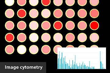 Image cytometry