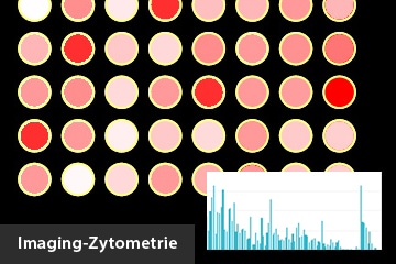 Imaging-Zytometrie