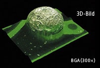 3D-Bild BGA(300x)